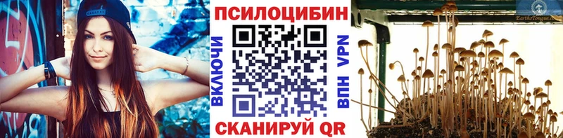 Псилоцибиновые грибы мухоморы блэк спрут tor Калининск